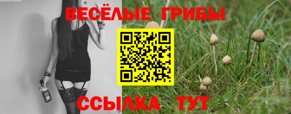 Псилоцибиновые грибы Psilocybine cubensis  Вход с VPN  Малгобек 
